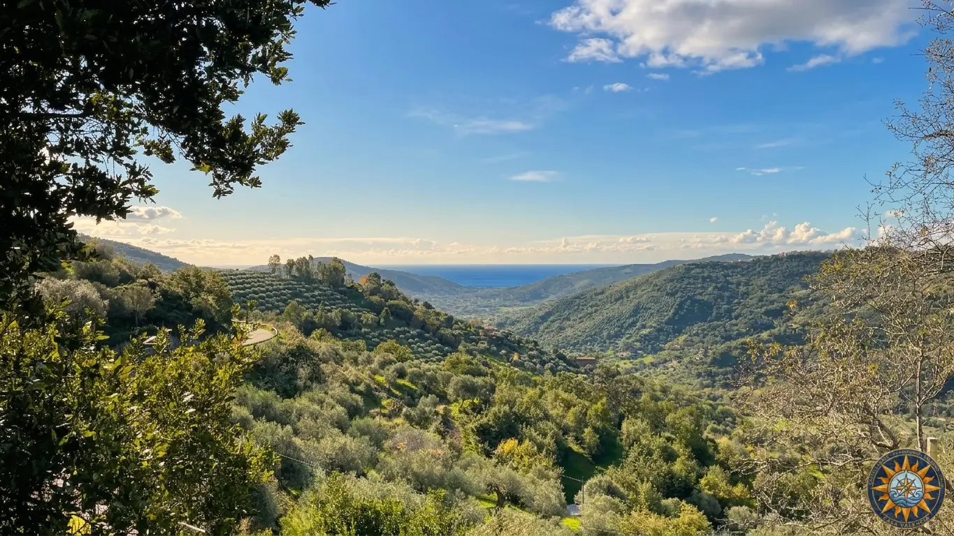 Panoramic terrace view